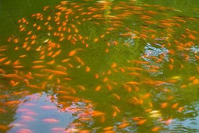 Remedy坦承：《FBC：Firebreak》销量暴死 未达预期